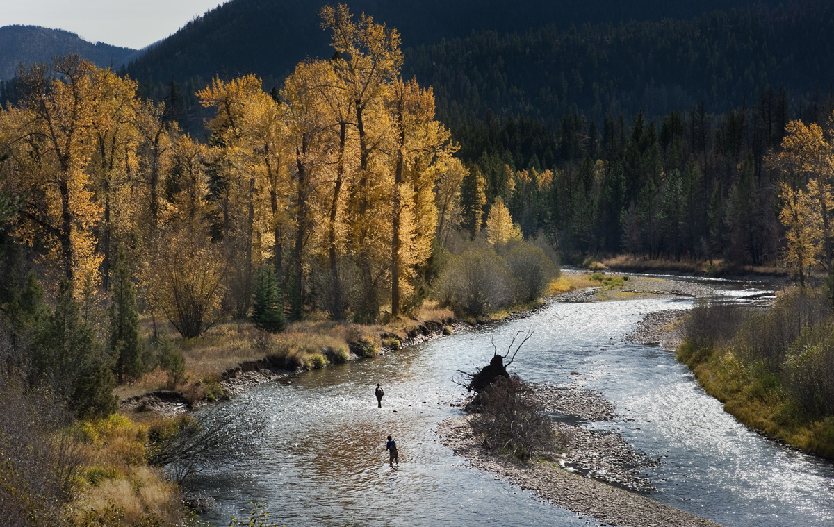 Anglers Near Spring Creek